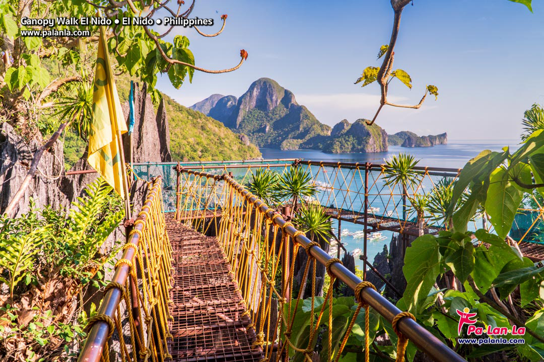 Canopy Walk El Nido